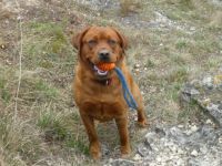 DJ von der Holzmühle