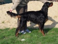 Basco Lovec z Gordonu