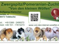 Von den kleinen Wölfen