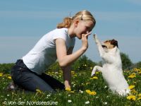 von der Nordseedüne