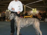 Von den Heidjer Wölfen