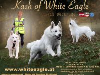 Kennel of White Eagle