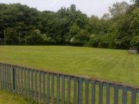 Bickendorfer Hundeschule