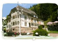 Pension VIlla Waldeck*** in Sankt Blasien