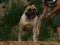 Northside´s Charly Brown