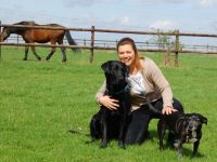 tierisch in balance - Praxis für ganzheitliche Tierheilkunde-