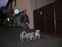 Mobile professionelle Hundeschule