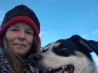 Wohlstandsköter, mobiles Training für Mensch und H