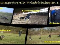ABC-Hundesport
