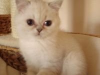 von der Wuschelbande