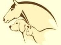 Naturheilkunde für Tiere - Petra Clausius / Tierheilpraktikerin