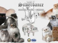 Silverdance