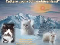 vom Schneebärenland