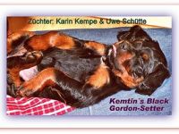 Kemtin´s Black