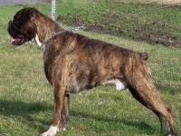 Jun.Sgr. ROMULUS J.A.L.SANDOW