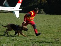 Hund mit Mensch Schule
