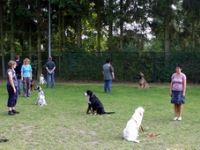 Hundeschule Wildenrath