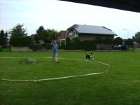 Hundehalterberatung.eu