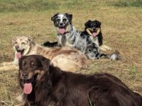 Martins Magic Moments