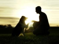 Magic Friends Vilshofen