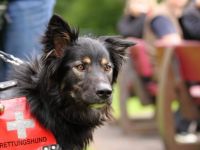 BRH Rettungshundestaffel Sachsen Nord e.V.  mit Sitz in Leipzig