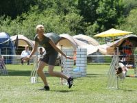 Hundeschule Dog For Fun Training