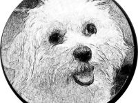 Bell-Dich-Glücklich