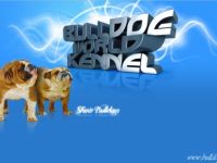 Bulldog World