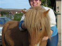 Mobile Tierheilpraxis & Ernährungsberatung