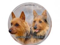 vom Zerbster Schloß