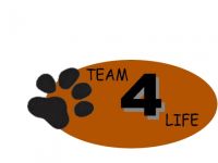 team 4 life
