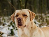 Avalon von der Feldmark