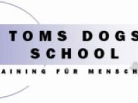 Toms Dogs School