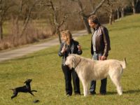 Dialog zwischen Mensch und Tier