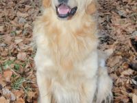 Sam Welt-Sieger DKU-EKU