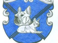 vom Schloss Bellevue