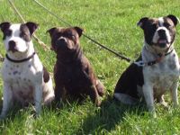 silent and powerfull by Hartel