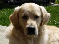 George vom Möhnesee