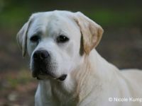 Denver & Eragon-Cooper