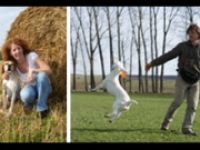 "hündisch sprechen – naturnah ausbilden"