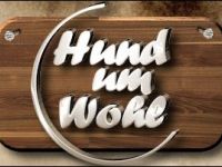 Mobile Tierphysiotherapie HundUmWohl