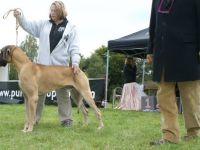 Junkie vom Teuchelwald