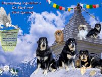 Khyunglung Ngulkhar's