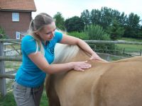 Praxis für Tierphysiotherapie Iris Stohr