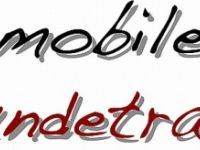 Ihr mobiler Hundetrainer