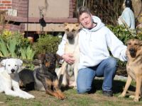 DOGGYmobil - der Gassiservice