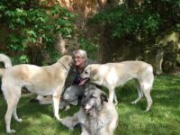 DOG-InForm / Mirjam Cordt