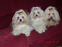 aus dem Himmel der kleinen Engel