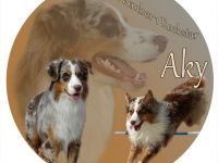 CJ The Number 1 Rockstar