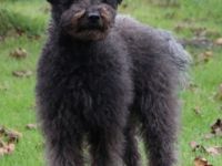 Andrea`s kleine Stürme